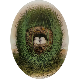A fourteen inch by nineteen inch vertical oval glass plate featuring a bird nest with eggs surrounded by green foliage.