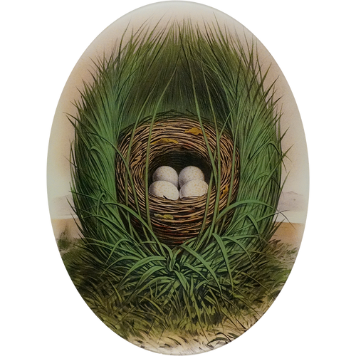 A fourteen inch by nineteen inch vertical oval glass plate featuring a bird nest with eggs surrounded by green foliage.