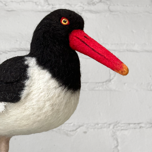 Needle Felted Oystercatcher #1