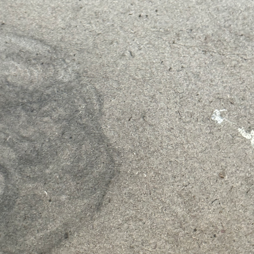 Evert Rabbers Early 20th-century Portrait Drawing (ER2401)
