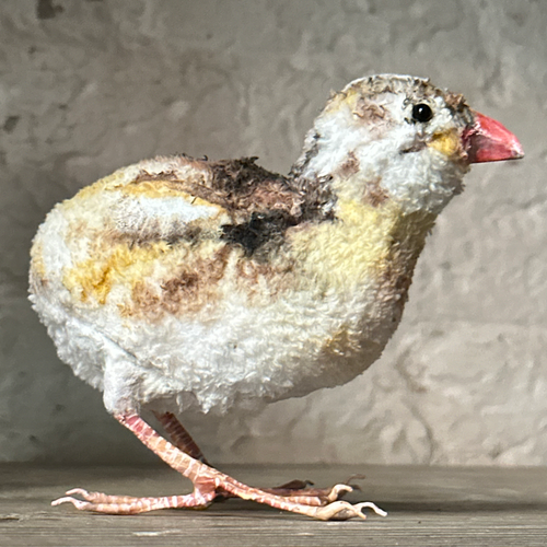 Papier-Mâché Guinea Fowl with Chick #38A