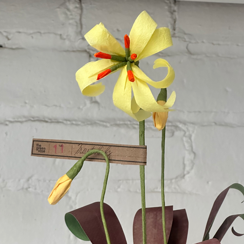 The Green Vase Trout Lily