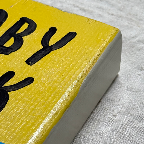 Leanne Shapton "Moby Dick" Painted Wooden Book