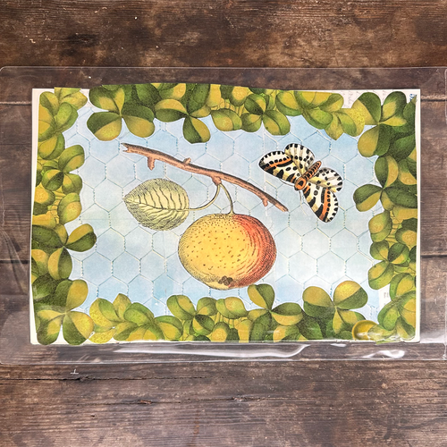One of a Kind Collaged Fruit Mat Pair (2-01 & 2-02)