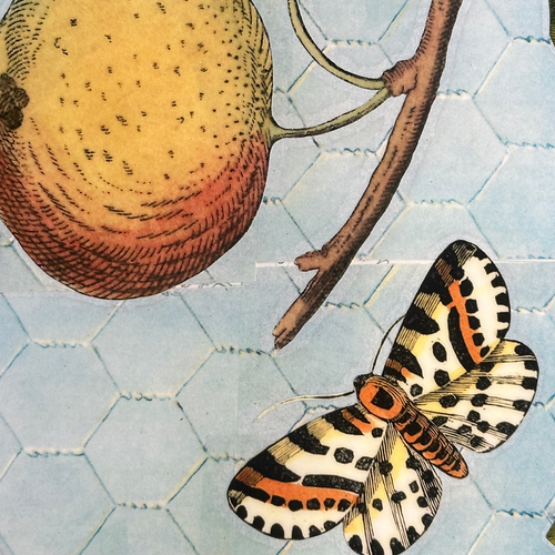 One of a Kind Collaged Fruit Mat Pair (2-01 & 2-02)