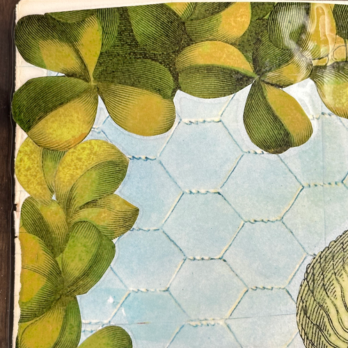 One of a Kind Collaged Fruit Mat Pair (2-01 & 2-02)