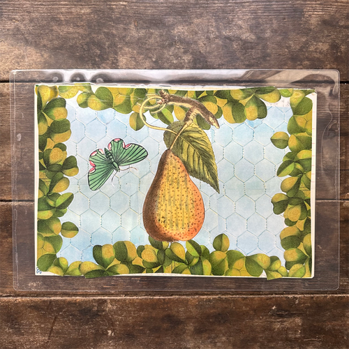 One of a Kind Collaged Fruit Mat Pair (2-01 & 2-02)