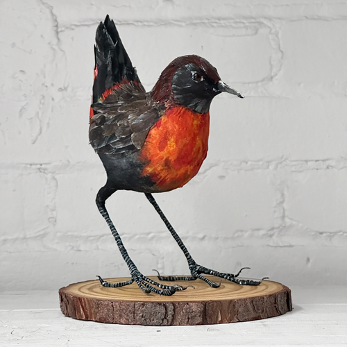 Papier-Mâché Rufous-Breasted Thrush Bird #48