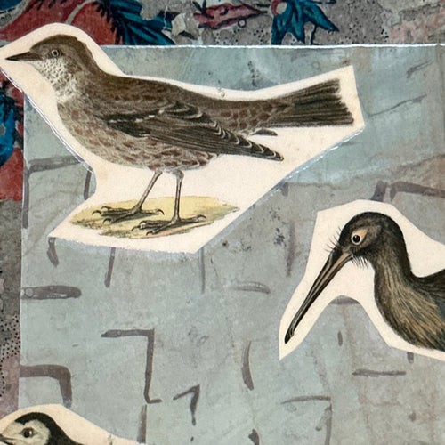 One of a Kind Collaged Birds Table Mat (#630)