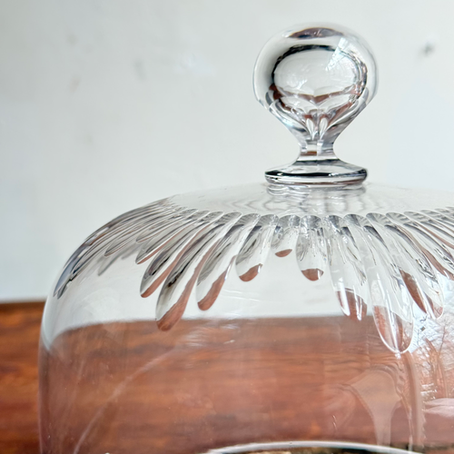 19th-century French Glass Cloche (CC04)