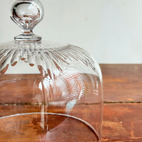 19th-century French Glass Cloche (CC04)
