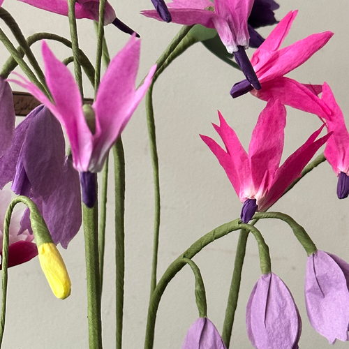 The Green Vase Spring Ephemerals No. 5
