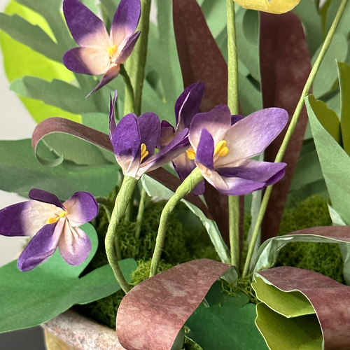 The Green Vase Spring Ephemerals No. 5