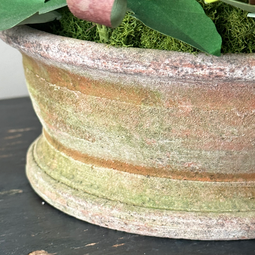 The Green Vase Spring Ephemerals No. 5