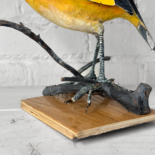Papier-Mâché Flame Bower Bird #25