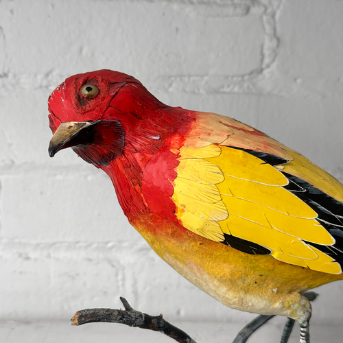 Papier-Mâché Flame Bower Bird #25