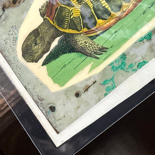 One of a Kind Collaged Turtles Table Mat (#631)
