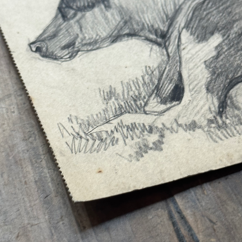 Evert Rabbers Early 20th-century Cow Drawing (ERA14)