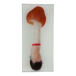 Mushroom Fig. 2