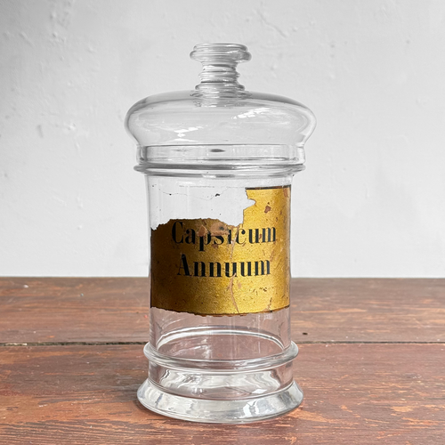 Small 19th-century French Apothecary Jar (20M)
