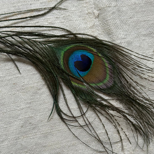 Nostalgic Clip-on Peacock Ornament with Feather