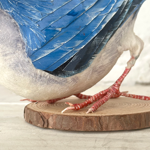 Papier-Mâché White Breasted Nuthatch #41