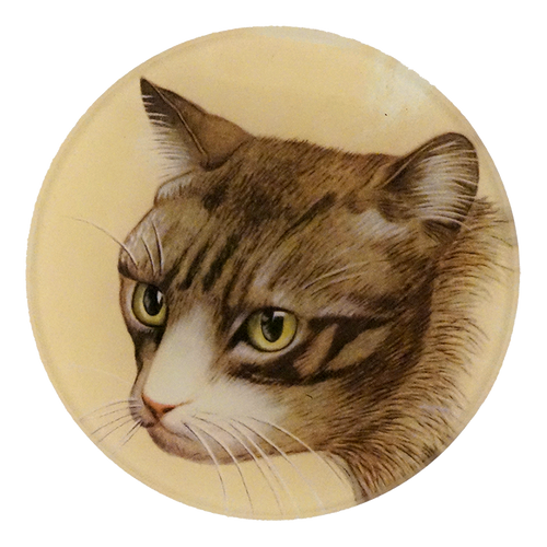 A four inch round plate of a portrait of a cat 