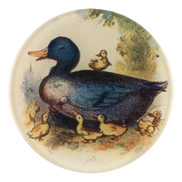 A four inch round plate featuring a watercolor-style illustration of a dark blue duck with several small yellow ducklings around it, shown on a plain white background.