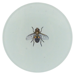 A four inch round plate with a small Drone Fly in the center of a white background 