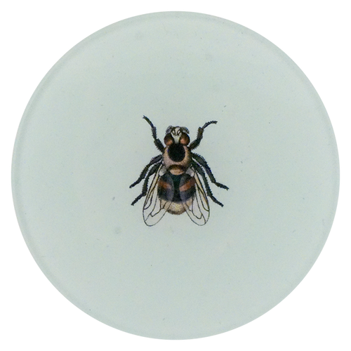 A four inch round plate with a small bee in the center on a white background