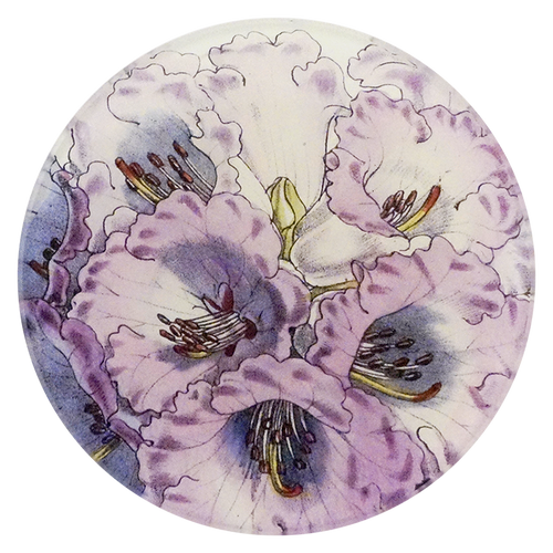 A four inch round plate with purple floral design on a white background