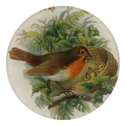 A four inch round plate featuring a robin bird with three chicks beside a nest, surrounded by green leaves on a cream background.