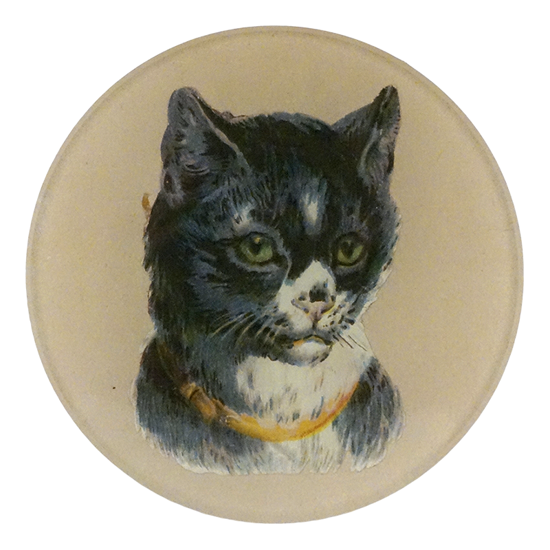 A four inch round plate featuring a painted portrait of a black-and-white cat wearing a yellow collar, shown on a beige background.