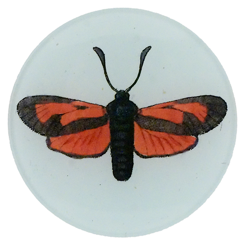 A four inch round object with a black and orange butterfly design on a white background