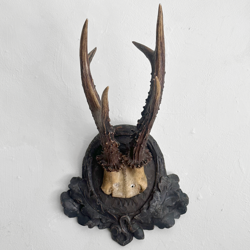 Black Forest Antlers on Carved Plaque (#549)