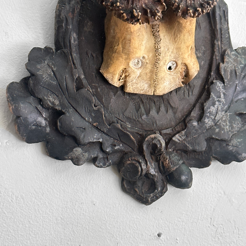 Black Forest Antlers on Carved Plaque (#549)