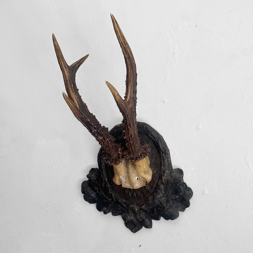 Black Forest Antlers on Carved Plaque (#549)