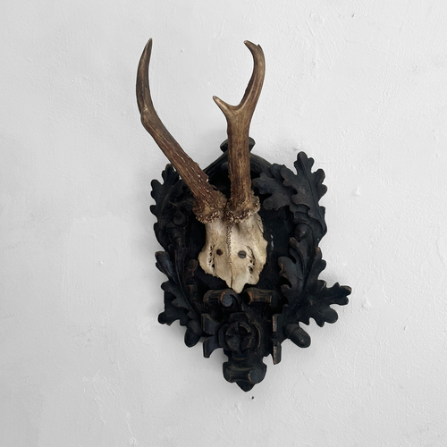 Black Forest Antlers on Carved Plaque (#550)