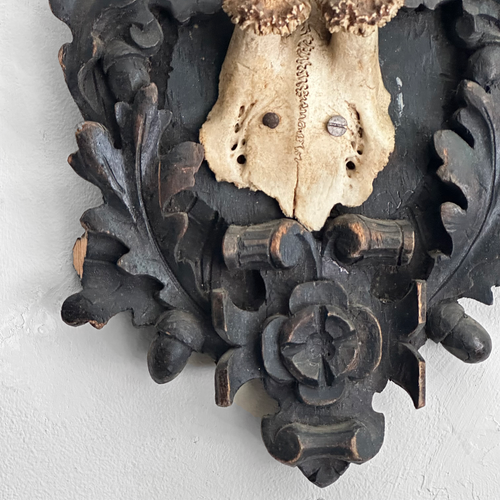Black Forest Antlers on Carved Plaque (#550)