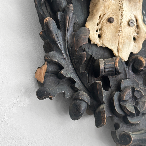 Black Forest Antlers on Carved Plaque (#550)