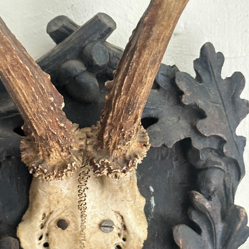 Black Forest Antlers on Carved Plaque (#550)