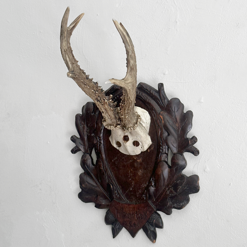 Black Forest Antlers on Carved Plaque (#551)