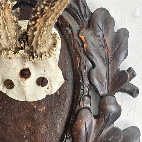 Black Forest Antlers on Carved Plaque (#551)