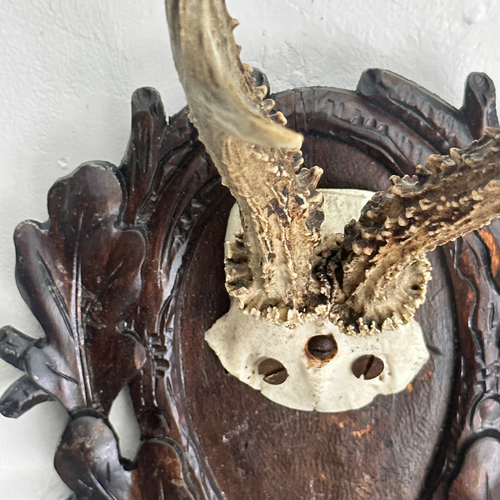 Black Forest Antlers on Carved Plaque (#551)