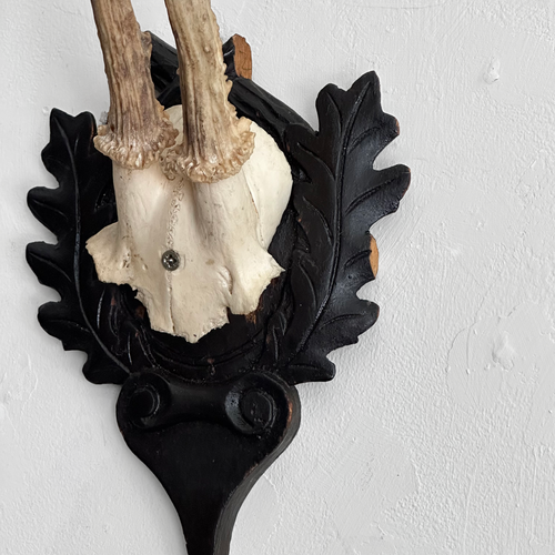 Black Forest Antlers on Carved Plaque (#553)
