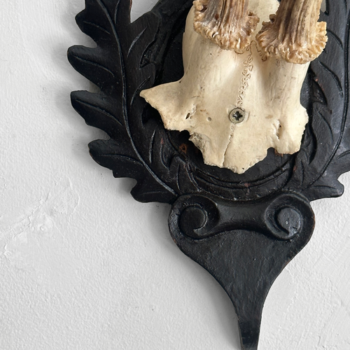 Black Forest Antlers on Carved Plaque (#553)
