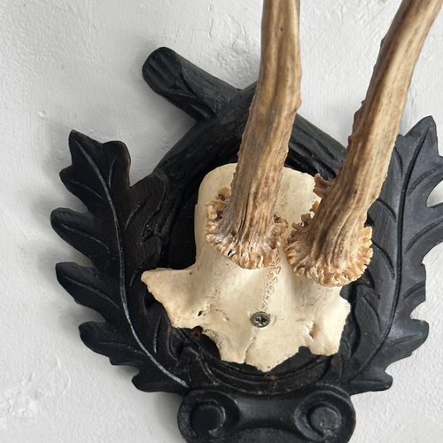 Black Forest Antlers on Carved Plaque (#553)