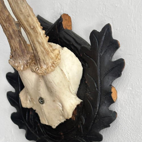 Black Forest Antlers on Carved Plaque (#553)