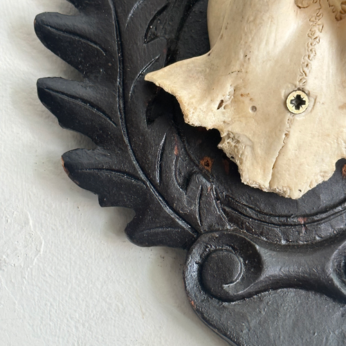 Black Forest Antlers on Carved Plaque (#553)