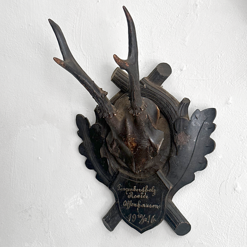 Black Forest Antlers on Carved Plaque (#553)